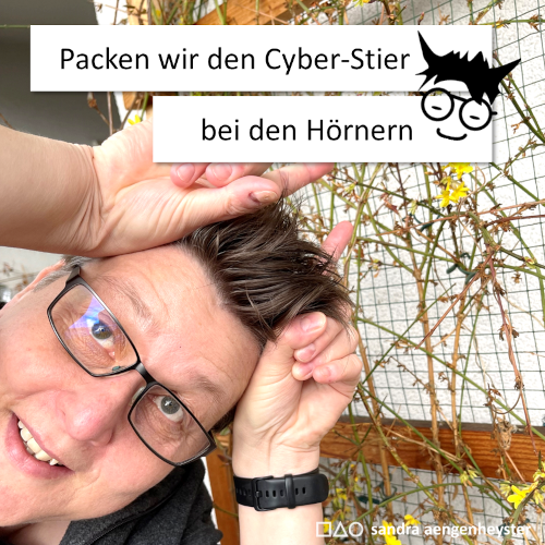 Apropos Cyber-Sicherheit: Was muss ich schützen? (c) Sandra Aengenheyster